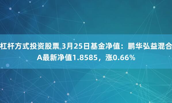 杠杆方式投资股票 3月25日基金净值：鹏华弘益混合A最新净值1.8585，涨0.66%