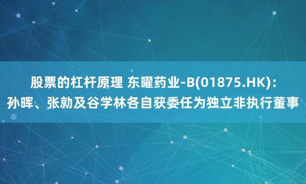 股票的杠杆原理 东曜药业-B(01875.HK)：孙晖、张勍及谷学林各自获委任为独立非执行董事