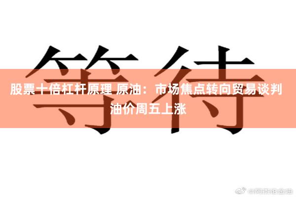 股票十倍杠杆原理 原油：市场焦点转向贸易谈判 油价周五上涨