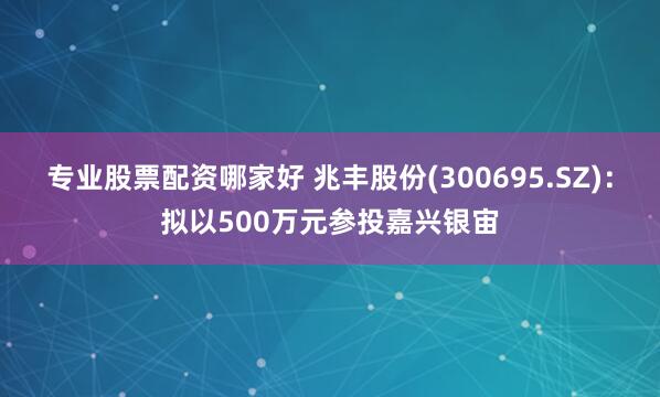 专业股票配资哪家好 兆丰股份(300695.SZ)：拟以500万元参投嘉兴银宙