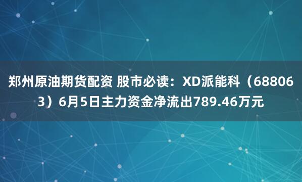 郑州原油期货配资 股市必读：XD派能科（688063）6月5日主力资金净流出789.46万元