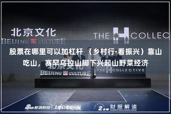 股票在哪里可以加杠杆 （乡村行·看振兴）靠山吃山，赛罕乌拉山脚下兴起山野菜经济