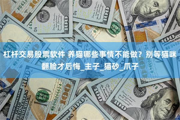 杠杆交易股票软件 养猫哪些事情不能做？别等猫咪翻脸才后悔_主子_猫砂_爪子