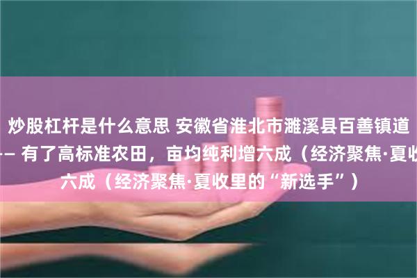 炒股杠杆是什么意思 安徽省淮北市濉溪县百善镇道口村小麦种植户—— 有了高标准农田，亩均纯利增六成（经济聚焦·夏收里的“新选手”）