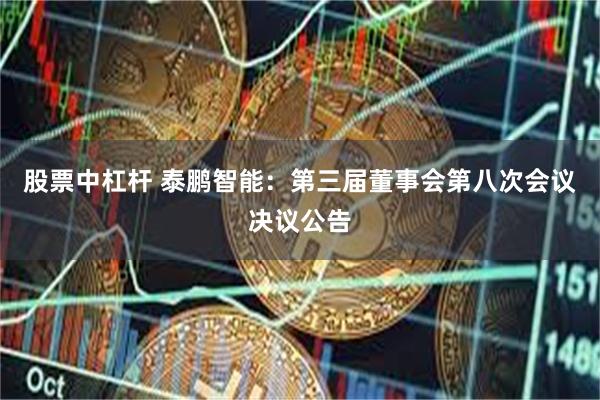 股票中杠杆 泰鹏智能：第三届董事会第八次会议决议公告