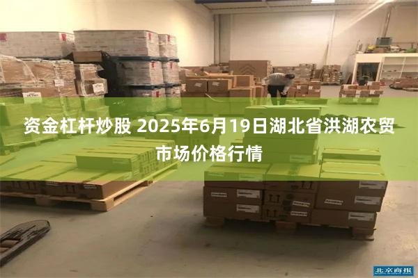 资金杠杆炒股 2025年6月19日湖北省洪湖农贸市场价格行情