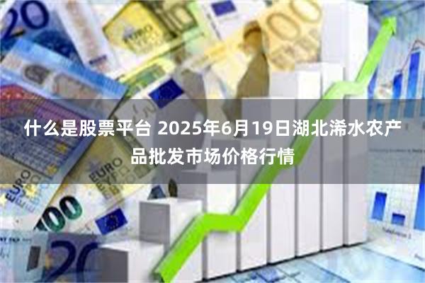 什么是股票平台 2025年6月19日湖北浠水农产品批发市场价格行情