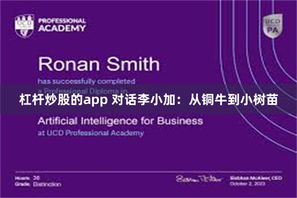 杠杆炒股的app 对话李小加：从铜牛到小树苗