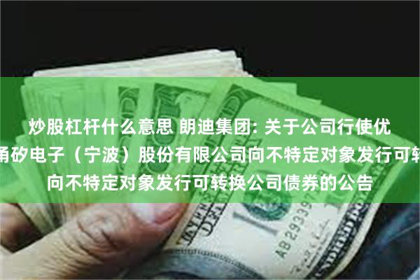 炒股杠杆什么意思 朗迪集团: 关于公司行使优先配售权参与认购甬矽电子（宁波）股份有限公司向不特定对象发行可转换公司债券的公告