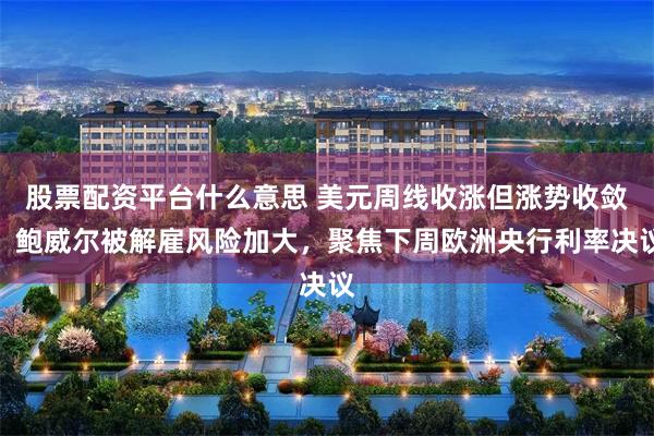 股票配资平台什么意思 美元周线收涨但涨势收敛，鲍威尔被解雇风险加大，聚焦下周欧洲央行利率决议