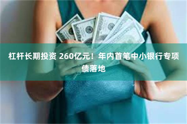 杠杆长期投资 260亿元！年内首笔中小银行专项债落地