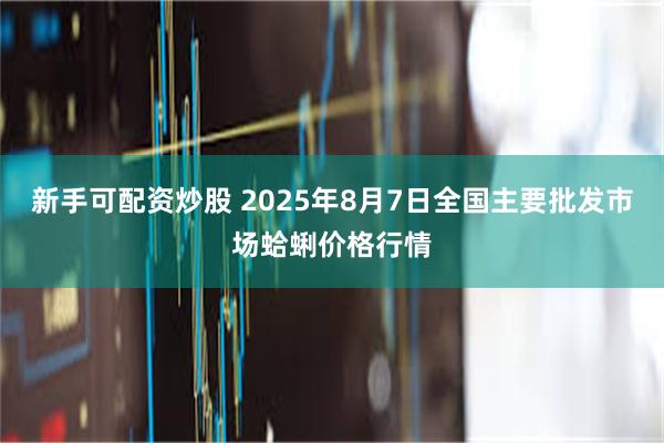 新手可配资炒股 2025年8月7日全国主要批发市场蛤蜊价格行情