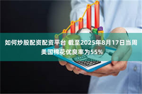 如何炒股配资配资平台 截至2025年8月17日当周 美国棉花优良率为55%
