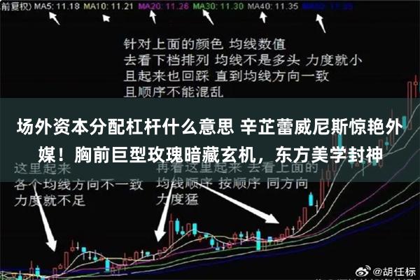 场外资本分配杠杆什么意思 辛芷蕾威尼斯惊艳外媒！胸前巨型玫瑰暗藏玄机，东方美学封神