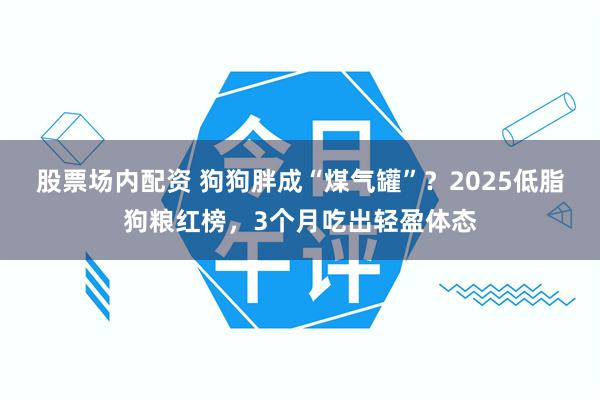 股票场内配资 狗狗胖成“煤气罐”?2025低脂狗粮红榜,3个月吃出轻盈体态
