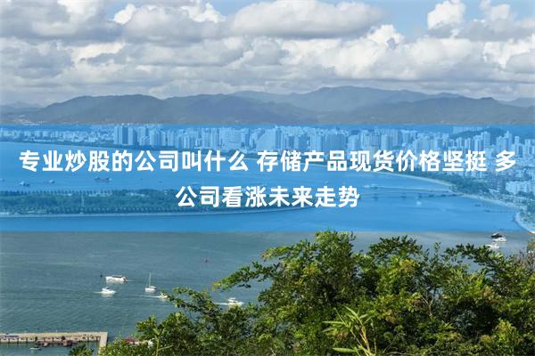 专业炒股的公司叫什么 存储产品现货价格坚挺 多公司看涨未来走势